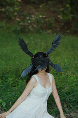 Midnight Raven
